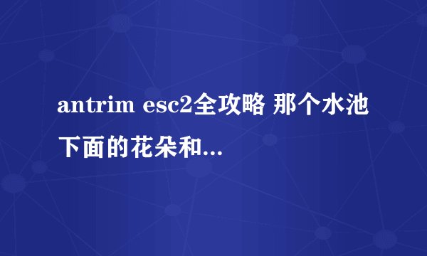 antrim esc2全攻略 那个水池下面的花朵和小草的密码的门怎么打开啊…里面的牌子取不出来....