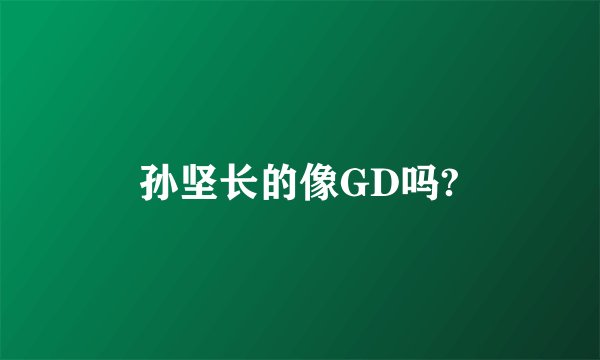 孙坚长的像GD吗?