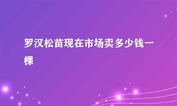罗汉松苗现在市场卖多少钱一棵