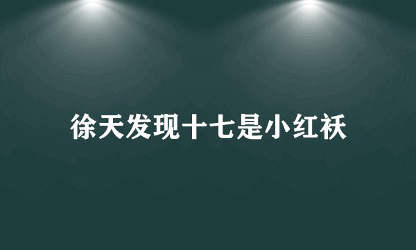 徐天发现十七是小红袄