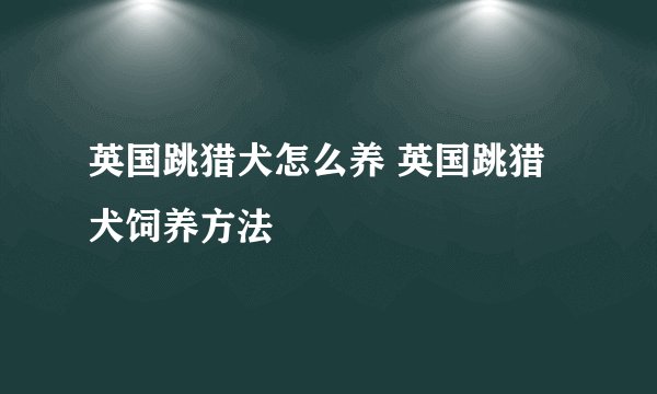 英国跳猎犬怎么养 英国跳猎犬饲养方法