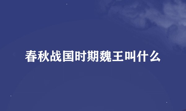 春秋战国时期魏王叫什么