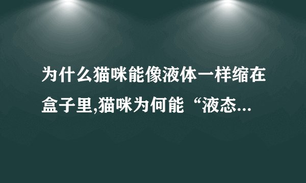 为什么猫咪能像液体一样缩在盒子里,猫咪为何能“液态”似缩在盒中？