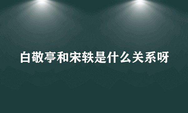 白敬亭和宋轶是什么关系呀