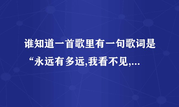 谁知道一首歌里有一句歌词是“永远有多远,我看不见,爱在一瞬间说变就变,你曾是我的地平线”是什么歌啊?