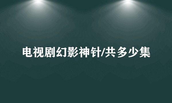 电视剧幻影神针/共多少集