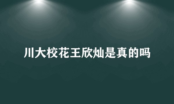 川大校花王欣灿是真的吗