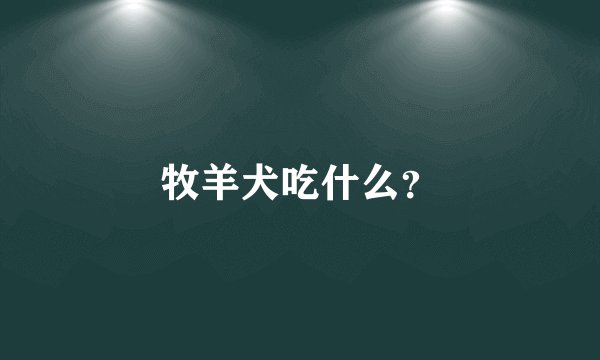 牧羊犬吃什么？