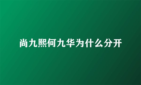 尚九熙何九华为什么分开