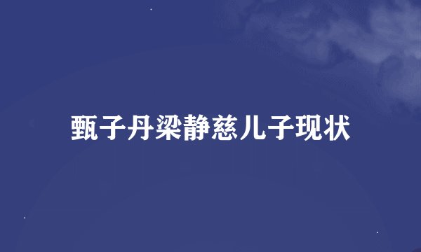 甄子丹梁静慈儿子现状
