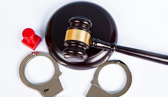 西安外教辱骂防疫人员被解聘,警方成立专班调查,此事有何最新进展?