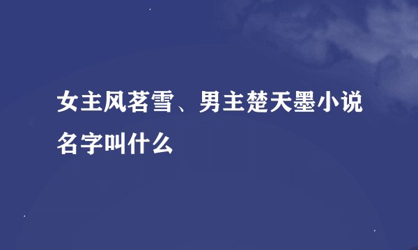 女主风茗雪、男主楚天墨小说名字叫什么
