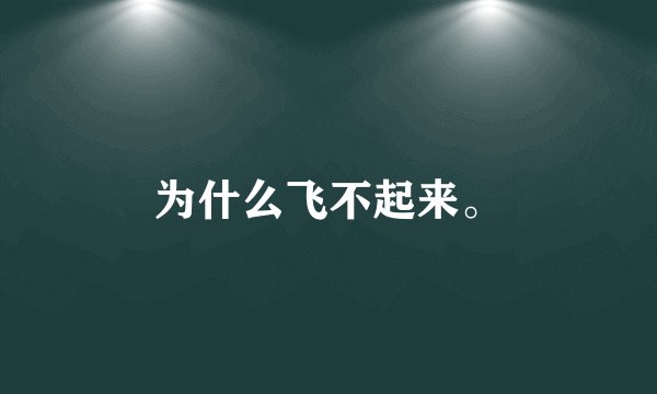 为什么飞不起来。