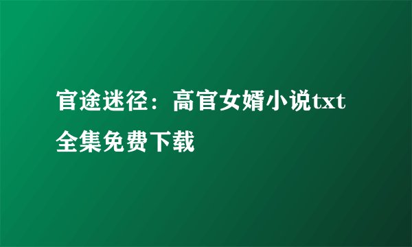 官途迷径：高官女婿小说txt全集免费下载