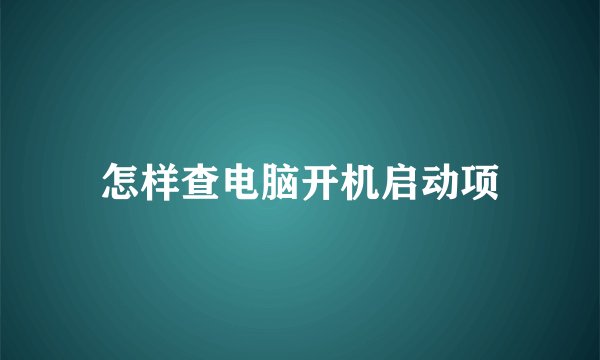 怎样查电脑开机启动项