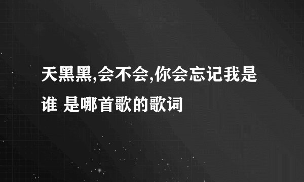 天黑黑,会不会,你会忘记我是谁 是哪首歌的歌词