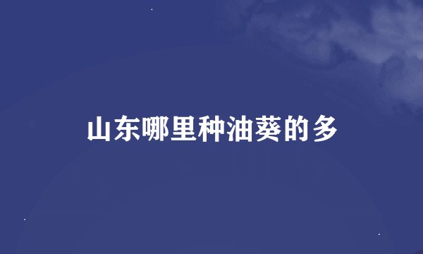 山东哪里种油葵的多
