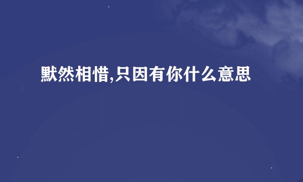 默然相惜,只因有你什么意思