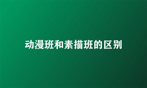 动漫班和素描班的区别