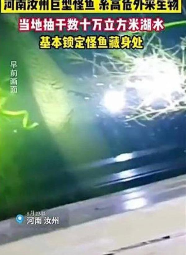 如此大费周章抓一条鱼值得吗?