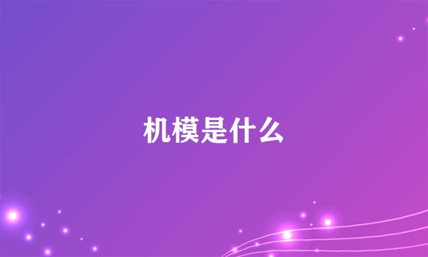 机模是什么