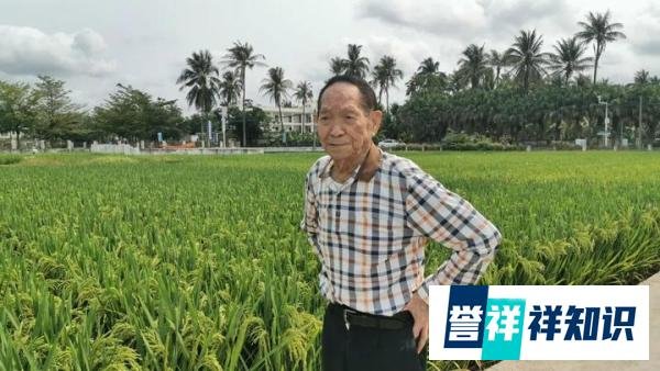 粮荒？别慌，袁隆平送给大家一颗“定心丸”