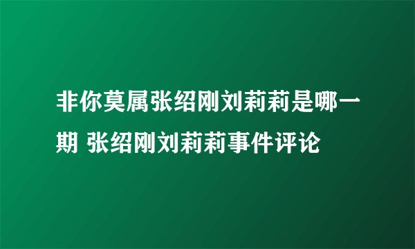 非你莫属张绍刚刘莉莉是哪一期 张绍刚刘莉莉事件评论