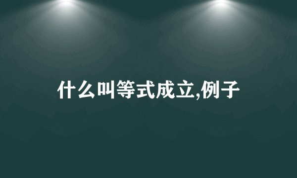 什么叫等式成立,例子