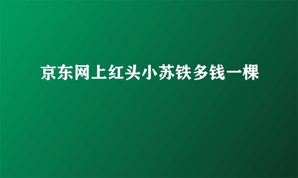 京东网上红头小苏铁多钱一棵