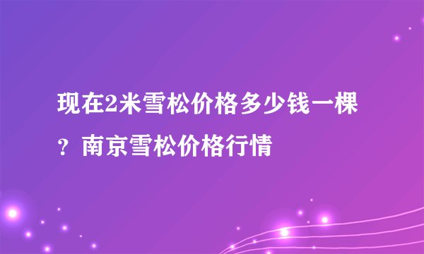 现在2米雪松价格多少钱一棵？南京雪松价格行情