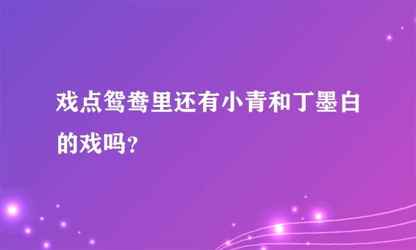 戏点鸳鸯里还有小青和丁墨白的戏吗？