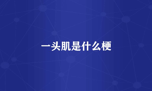 一头肌是什么梗