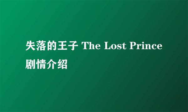 失落的王子 The Lost Prince剧情介绍