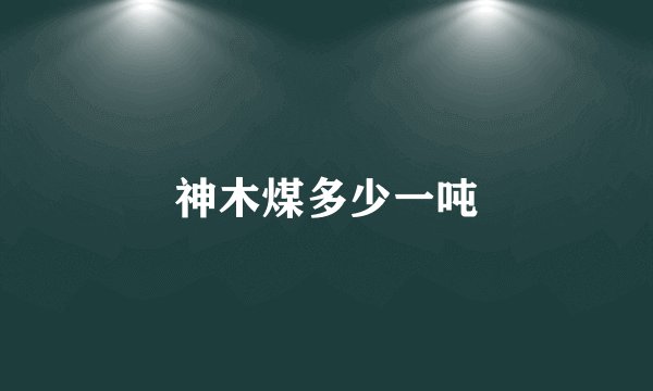 神木煤多少一吨