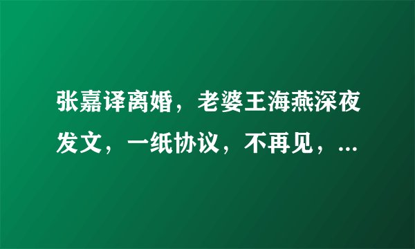 张嘉译离婚,老婆王海燕深夜发文,一纸协议,不再见,现在过得怎样?