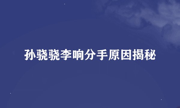 孙骁骁李响分手原因揭秘
