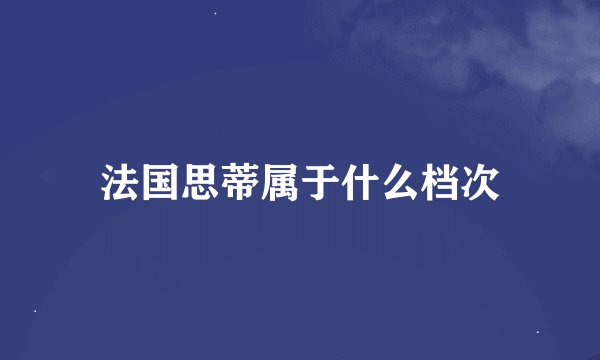 法国思蒂属于什么档次
