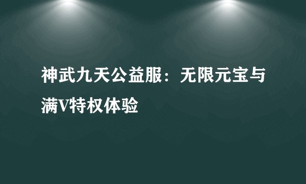 神武九天公益服：无限元宝与满V特权体验