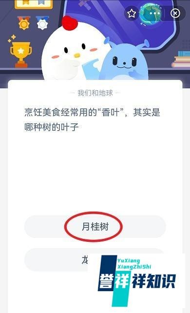烹饪美食经常用的“香叶”，是哪种树的叶子？