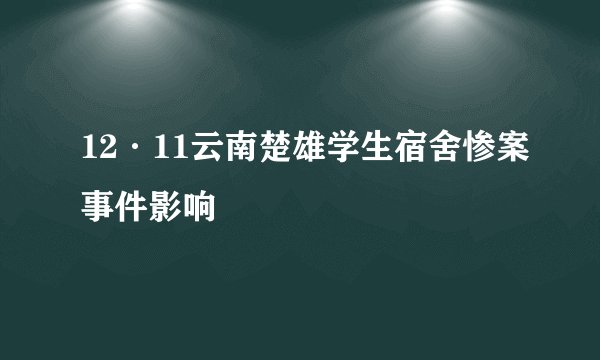 12·11云南楚雄学生宿舍惨案事件影响