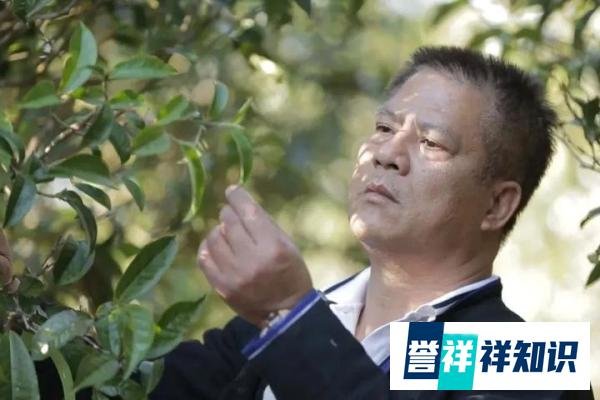何宝强去世!初心不改,传承茶人匠心