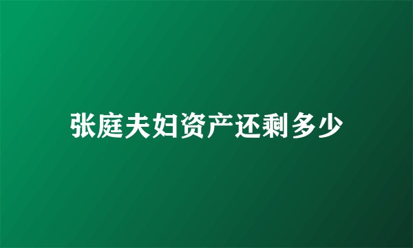 张庭夫妇资产还剩多少