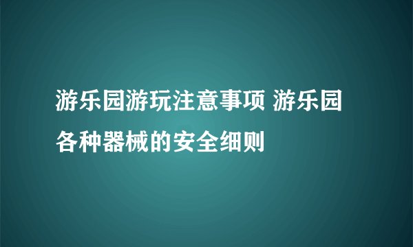 游乐园游玩注意事项 游乐园各种器械的安全细则