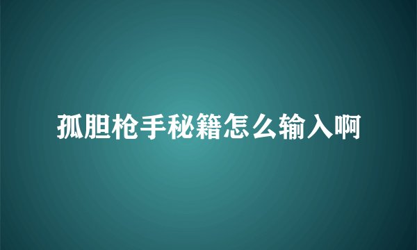 孤胆枪手秘籍怎么输入啊