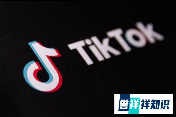 美国对 TikTok 的禁令将使拜登和民主党失去 2024 年选举工具