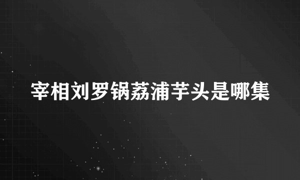宰相刘罗锅荔浦芋头是哪集