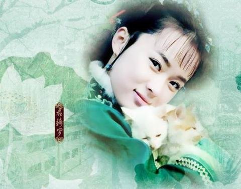玫瑰江湖电视剧演员表