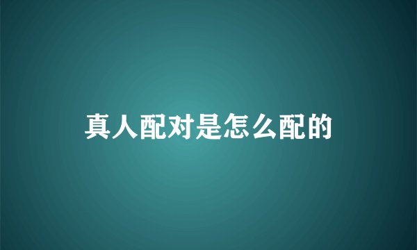 真人配对是怎么配的