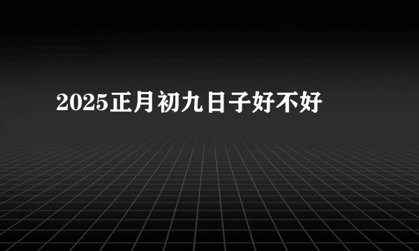 2025正月初九日子好不好
