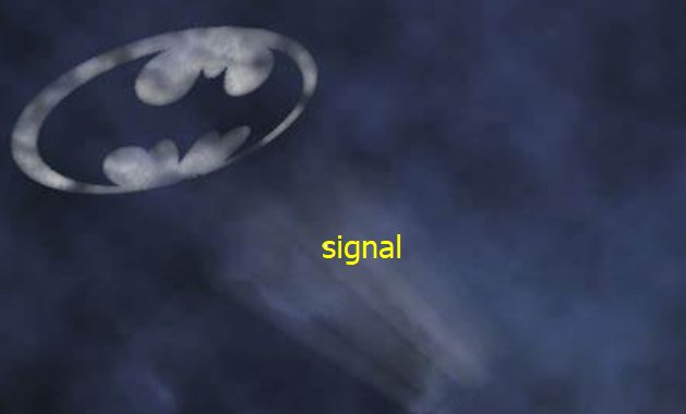 sign和signal有什么区别？
